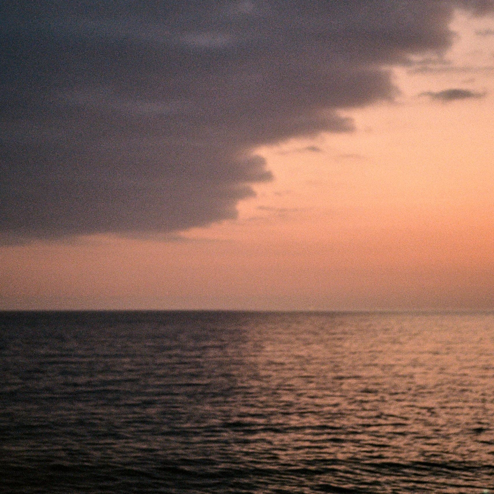 美国拉古纳海滩 · 2023年 · Kodak Portra 400，Lan Wang 摄