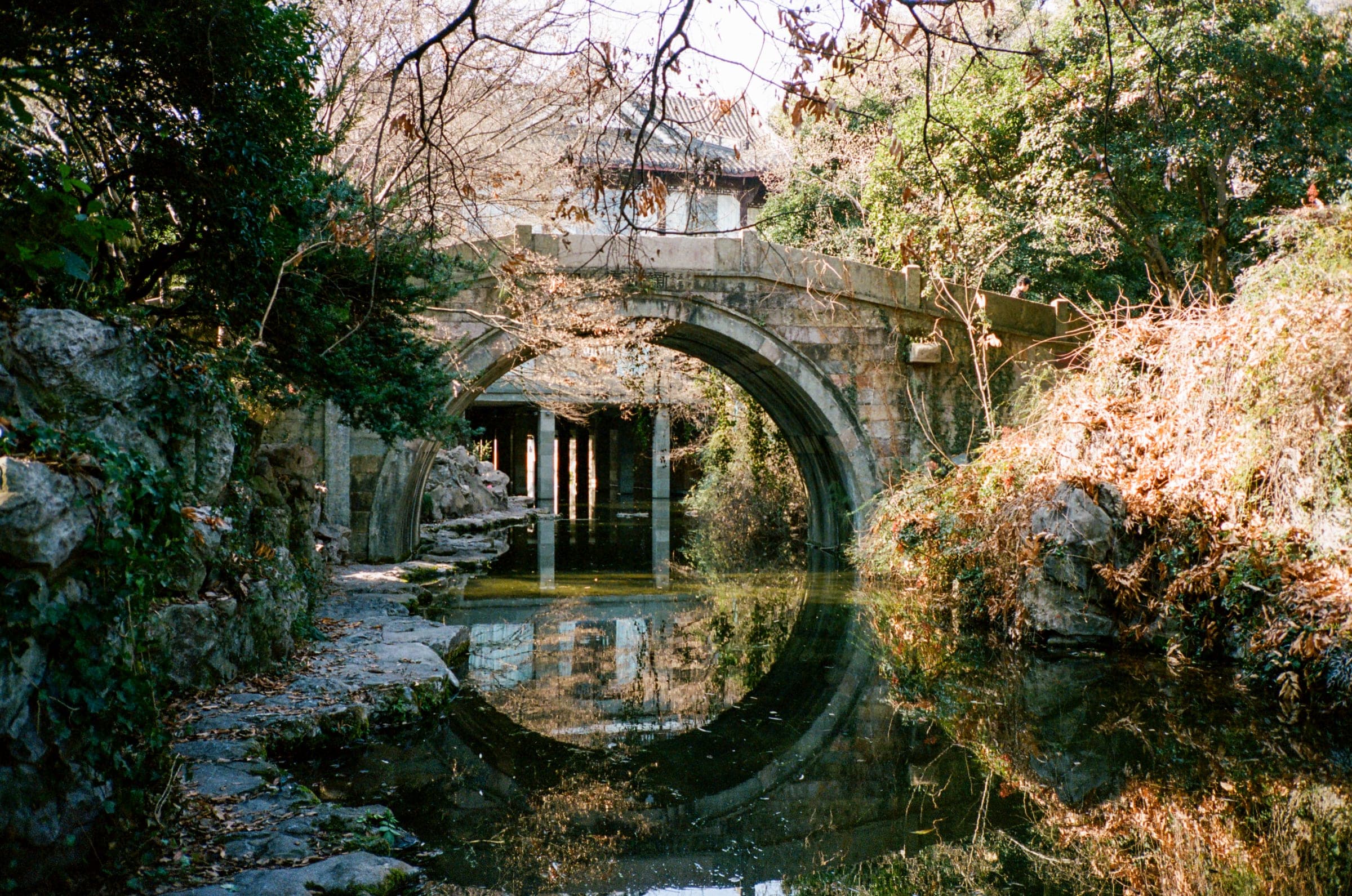 西湖冬 · 中国杭州 · 2024年 · Kodak Portra 400，Lan Wang 摄