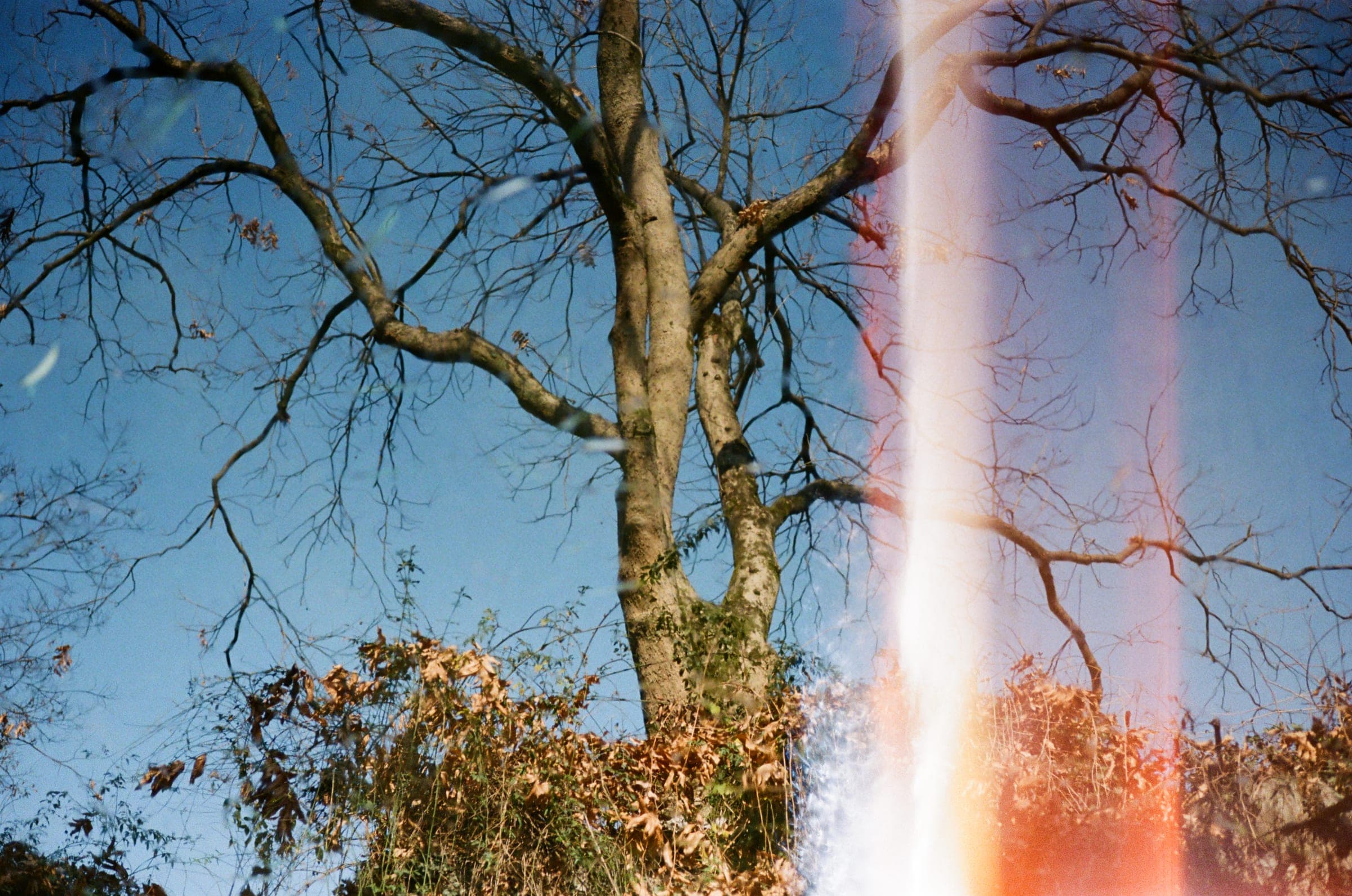西湖冬 · 中国杭州 · 2024年 · Kodak UltraMax 400，Lan Wang 摄