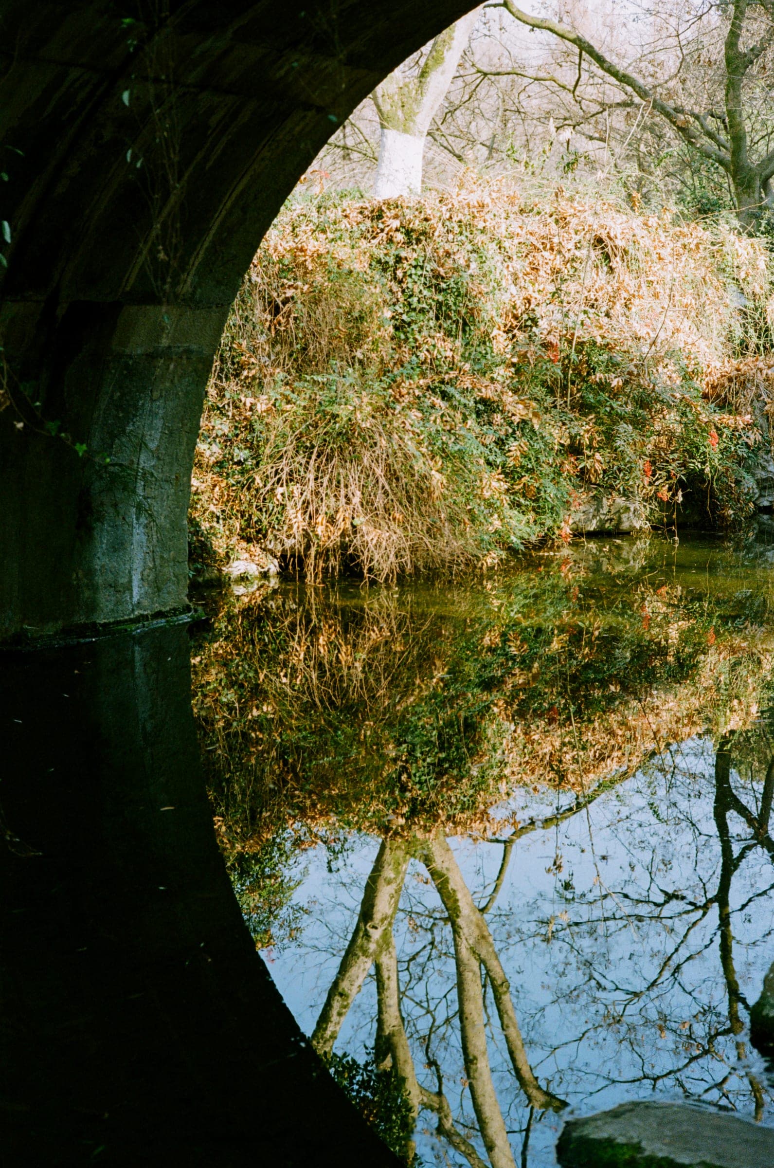 西湖冬 · 中国杭州 · 2024年 · Kodak UltraMax 400，Lan Wang 摄