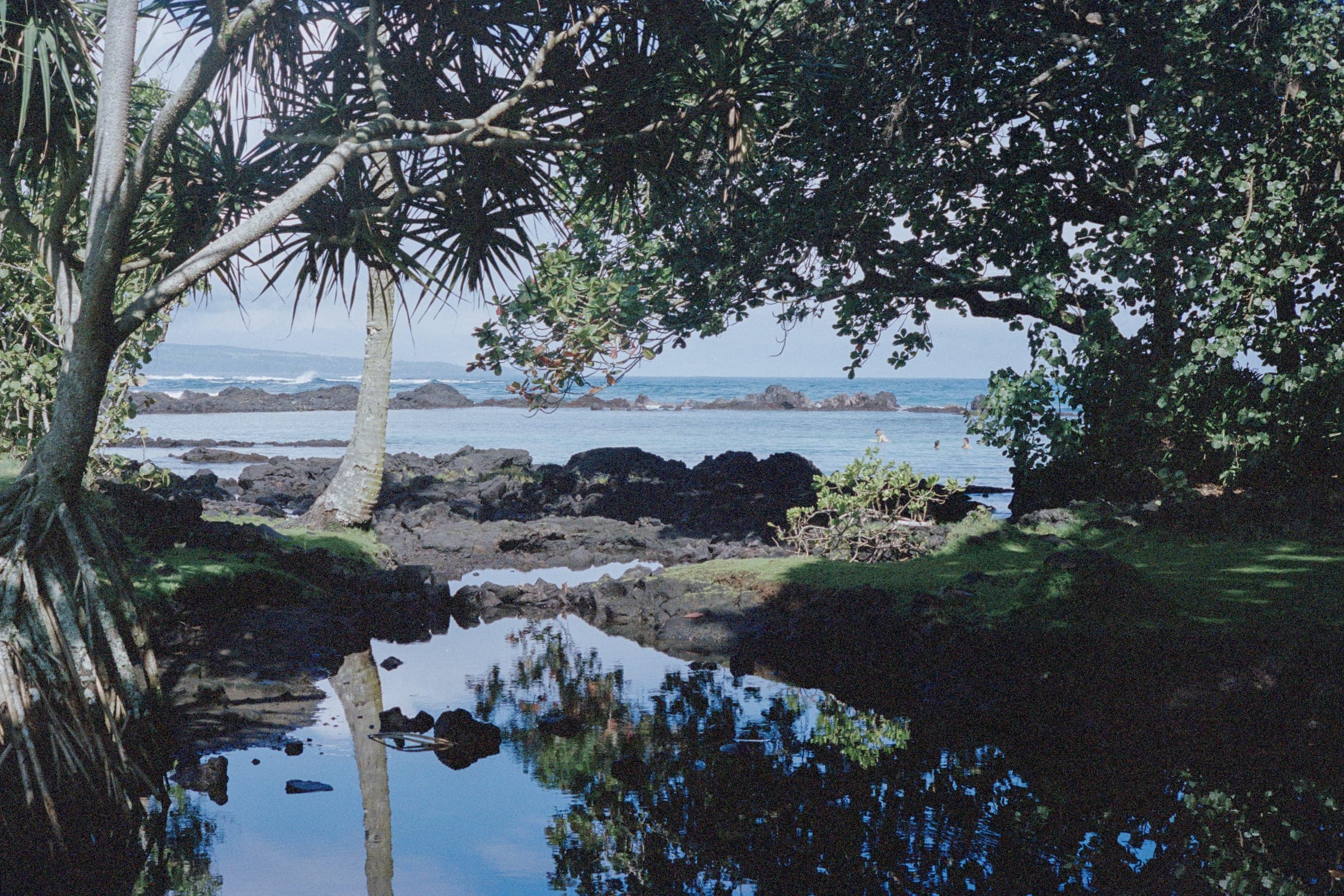 夏威夷 · 美国大岛 · 2025年 · Kodak Portra 400，Lan Wang 摄