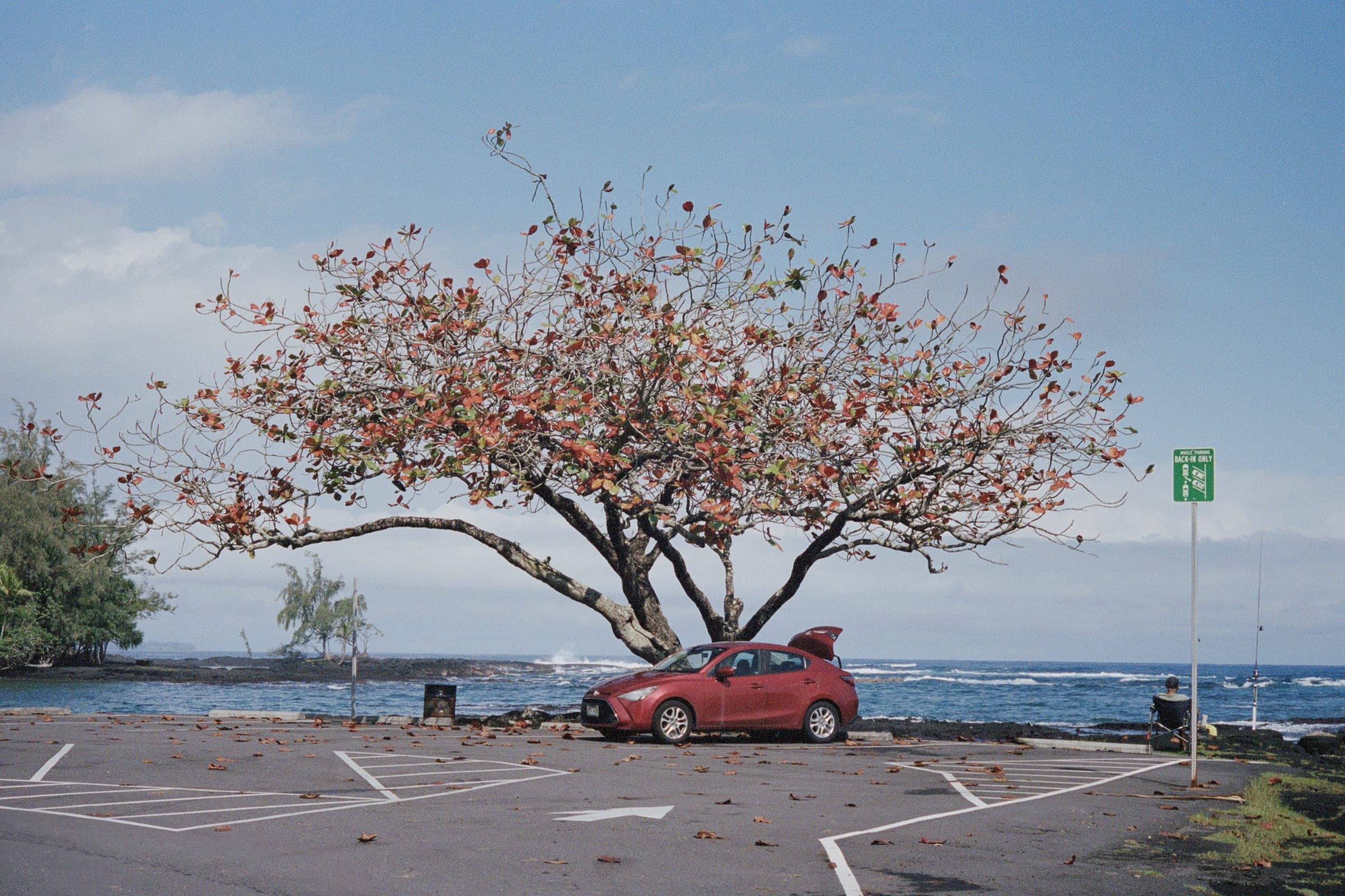 夏威夷 · 美国大岛 · 2025年 · Kodak Portra 400，Lan Wang 摄