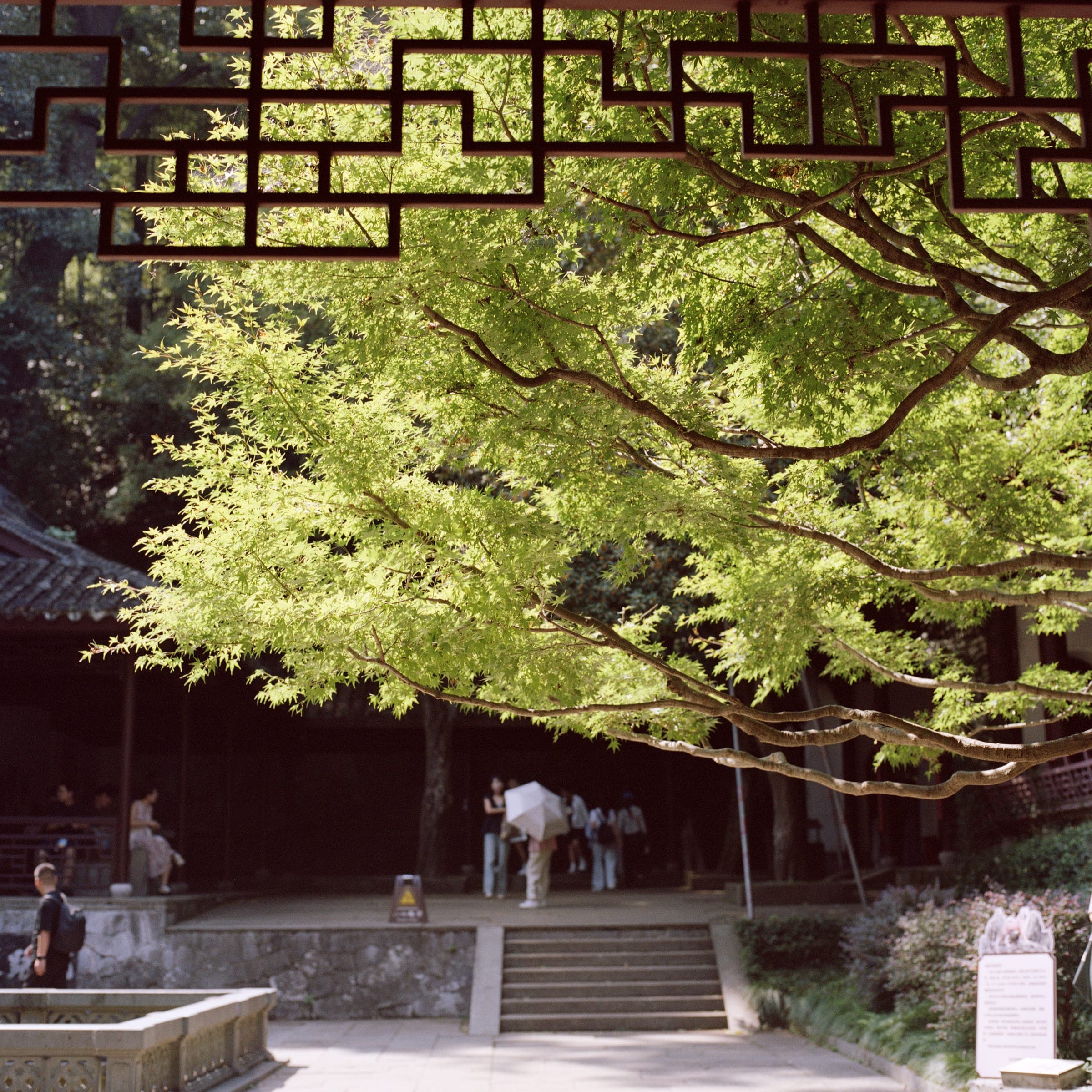 西湖 · 中国杭州 · 2025年 · Kodak Portra 160，Lan Wang 摄