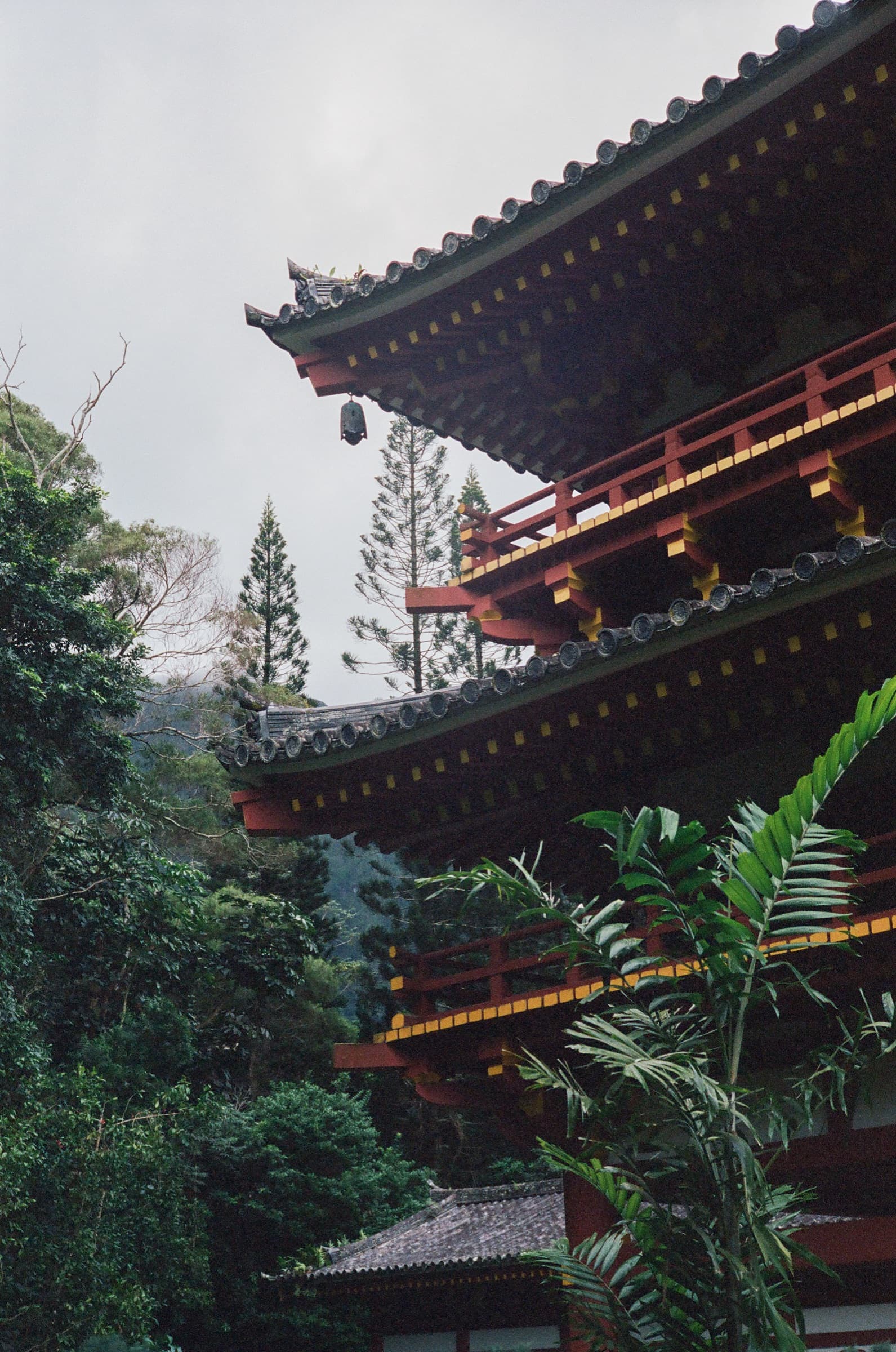夏威夷 · 美国檀香山 · 2025年 · Kodak Portra 400，Lan Wang 摄