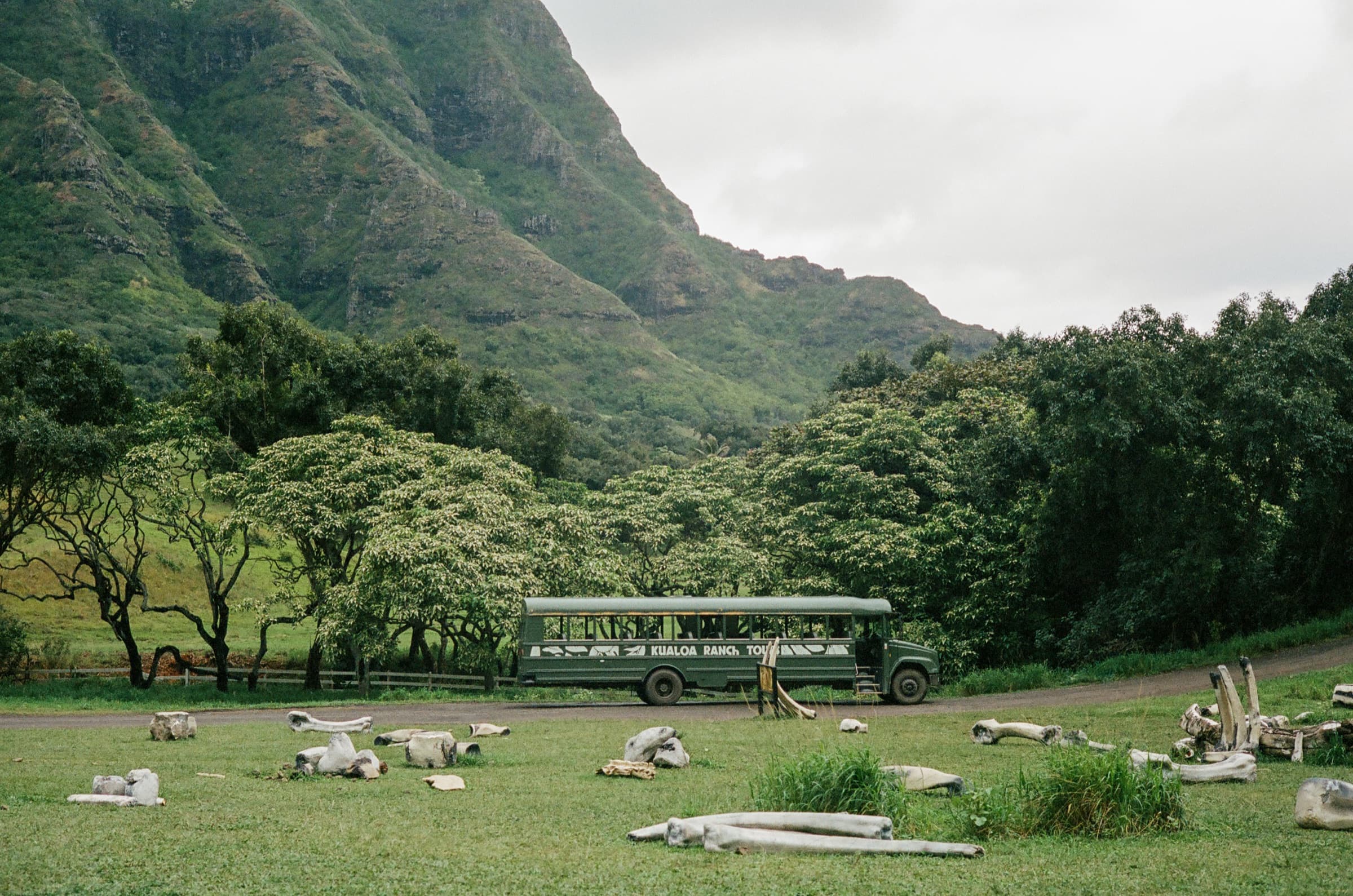 夏威夷 · 美国檀香山 · 2025年 · Kodak Portra 400，Lan Wang 摄